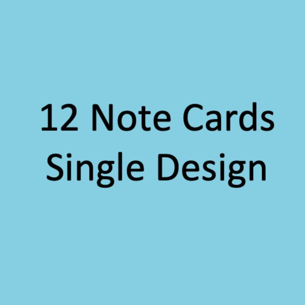 12pcs Note Card Bundle [Price Firm]